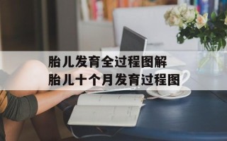 胎儿发育全过程图解 胎儿十个月发育过程图