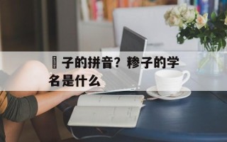 祙子的拼音？糁子的学名是什么