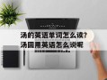 汤的英语单词怎么读？汤圆用英语怎么说呢