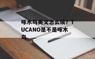 啄木鸟英文怎么读？TUCANO是不是啄木鸟