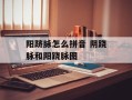阳跻脉怎么拼音 阴跷脉和阳跷脉图