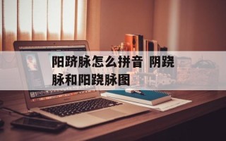 阳跻脉怎么拼音 阴跷脉和阳跷脉图