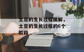 土豆的生长过程图解，土豆的生长过程的6个阶段
