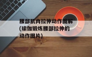腰部肌肉拉伸动作图解(瑜伽锻炼腰部拉伸的动作图片)