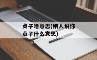 贞子啥意思(别人说你贞子什么意思)
