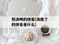 熬汤喝的拼音(汤撒了的拼音是什么)