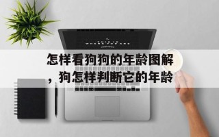 怎样看狗狗的年龄图解，狗怎样判断它的年龄