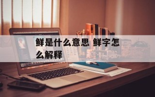 鲜是什么意思 鲜字怎么解释