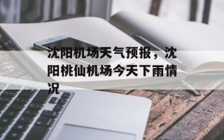 沈阳机场天气预报，沈阳桃仙机场今天下雨情况