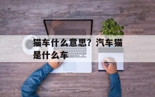 猫车什么意思？汽车猫是什么车