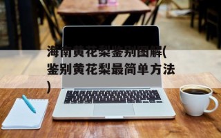 海南黄花梨鉴别图解(鉴别黄花梨最简单方法)