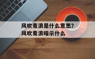 风吹麦浪是什么意思？风吹麦浪暗示什么