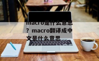 macro是什么意思？macro翻译成中文是什么意思
