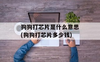 狗狗打芯片是什么意思(狗狗打芯片多少钱)