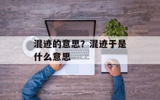 混迹的意思？混迹于是什么意思