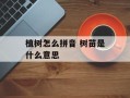 植树怎么拼音 树苗是什么意思