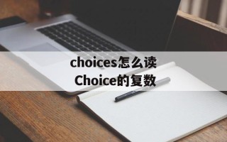choices怎么读 Choice的复数