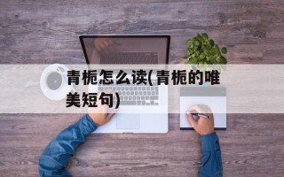 青栀怎么读(青栀的唯美短句)