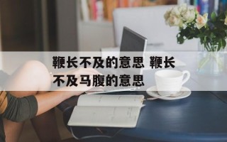 鞭长不及的意思 鞭长不及马腹的意思