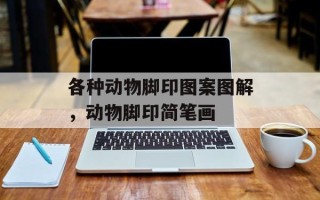 各种动物脚印图案图解，动物脚印简笔画