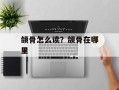 颌骨怎么读？颌骨在哪里