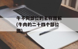 牛不同部位的名称图解(牛肉的二十四个部位图)