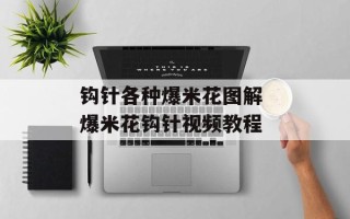 钩针各种爆米花图解 爆米花钩针视频教程