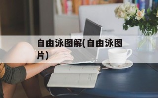 自由泳图解(自由泳图片)