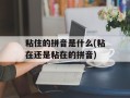 粘住的拼音是什么(粘在还是粘在的拼音)