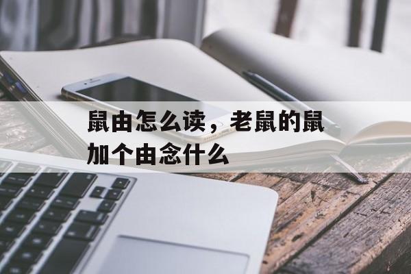 鼠由怎么读，老鼠的鼠加个由念什么-第1张图片-