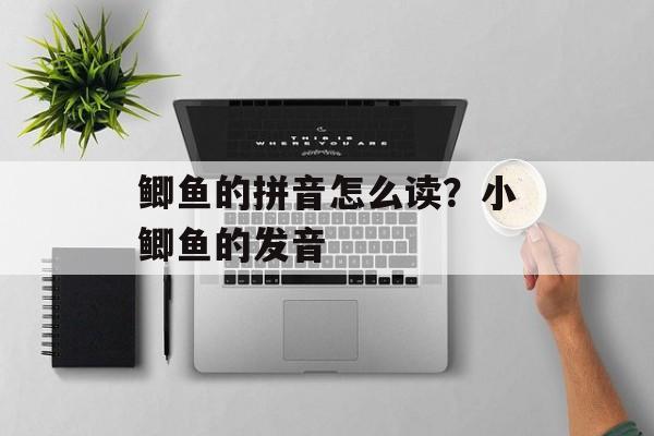 鲫鱼的拼音怎么读？小鲫鱼的发音-第1张图片-