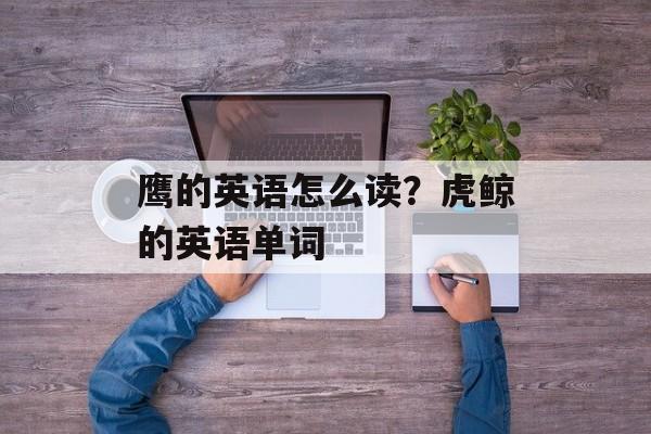 鹰的英语怎么读？虎鲸的英语单词-第1张图片-