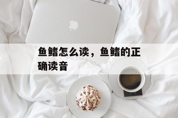 鱼鳍怎么读，鱼鳍的正确读音-第1张图片-