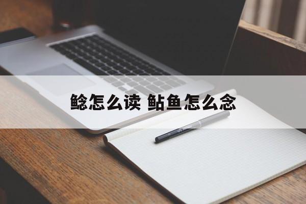 鲶怎么读 鲇鱼怎么念-第1张图片-