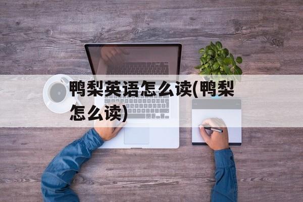 鸭梨英语怎么读(鸭梨怎么读)-第1张图片-
