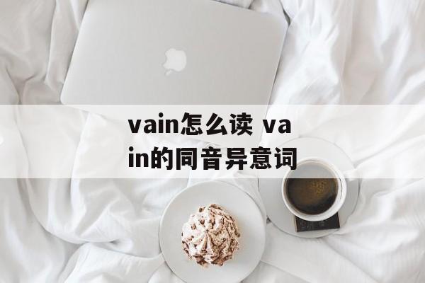 vain怎么读 vain的同音异意词-第1张图片-