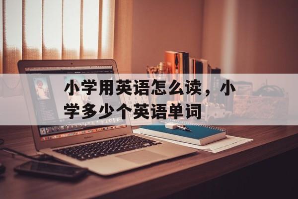 小学用英语怎么读，小学多少个英语单词-第1张图片-