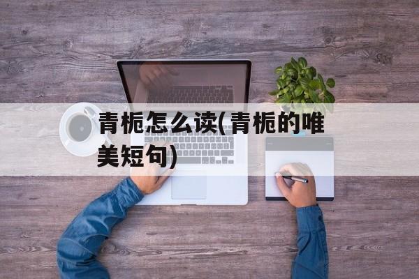 青栀怎么读(青栀的唯美短句)-第1张图片-