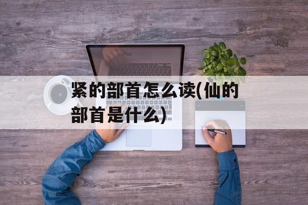 紧的部首怎么读(仙的部首是什么)-第1张图片-