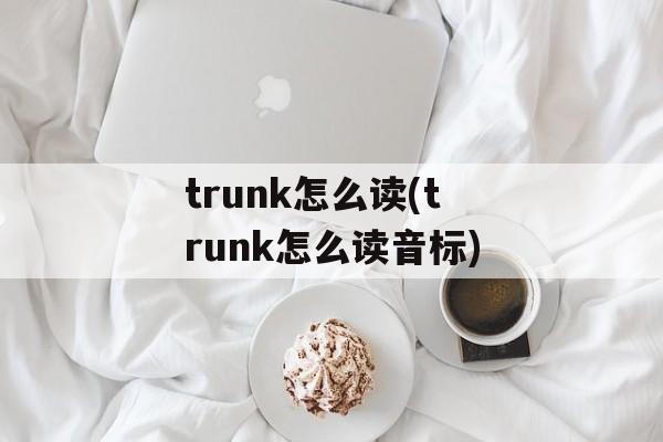 trunk怎么读(trunk怎么读音标)-第1张图片-