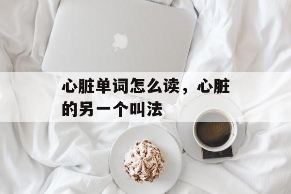 心脏单词怎么读，心脏的另一个叫法-第1张图片-