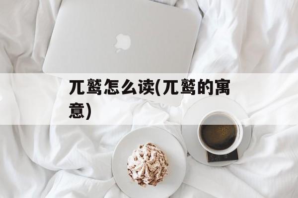 兀鹫怎么读(兀鹫的寓意)-第1张图片-