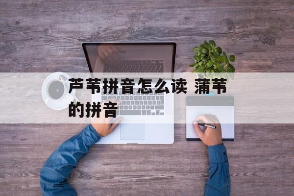 芦苇拼音怎么读 蒲苇的拼音-第1张图片-