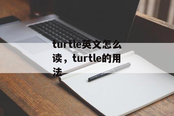 turtle英文怎么读，turtle的用法-第1张图片-