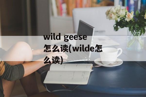 wild geese怎么读(wilde怎么读)-第1张图片-