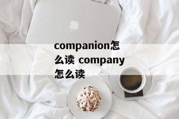 companion怎么读 company怎么读-第1张图片-