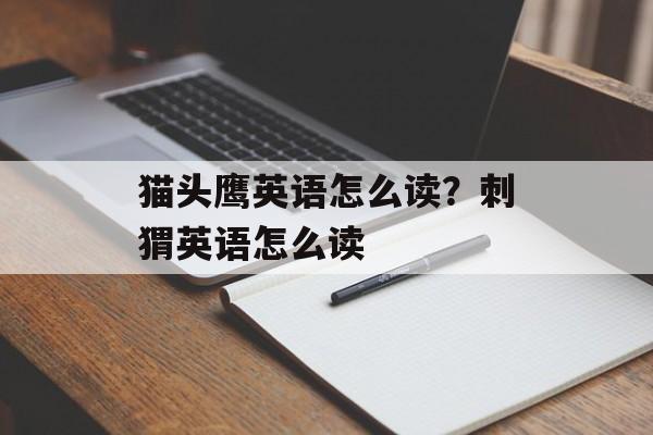 猫头鹰英语怎么读？刺猬英语怎么读-第1张图片-