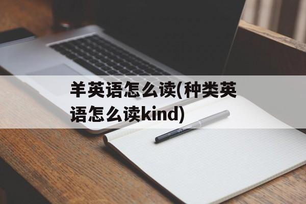 羊英语怎么读(种类英语怎么读kind)-第1张图片-