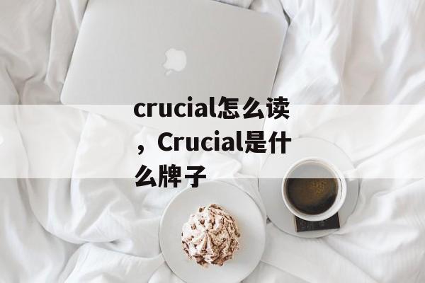 crucial怎么读，Crucial是什么牌子-第1张图片-