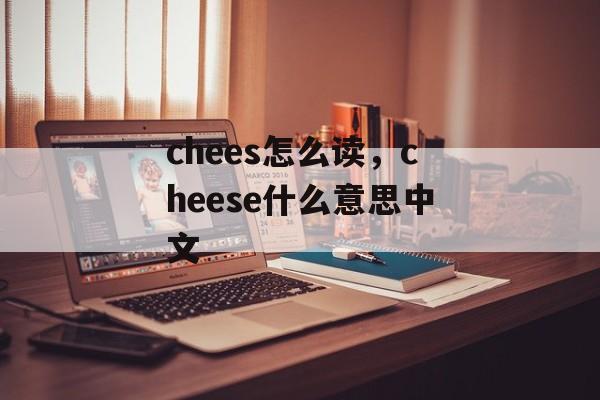 chees怎么读，cheese什么意思中文-第1张图片-